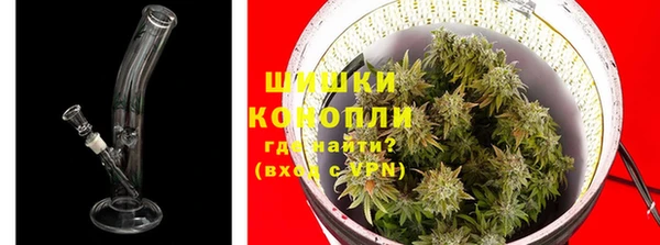 мдпв Осташков