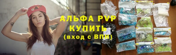 мдпв Осташков