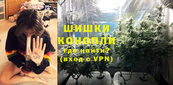 мдпв Осташков