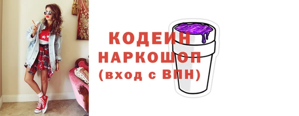 мдпв Осташков
