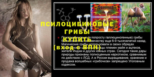 прущая мука Осинники
