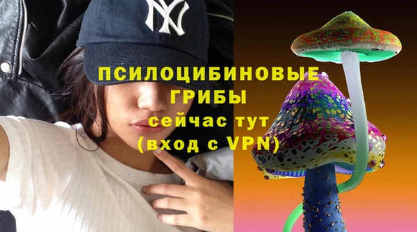 прущая мука Осинники