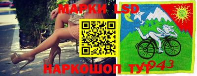 стафф Донской