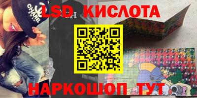 стафф Донской