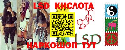 стафф Донской