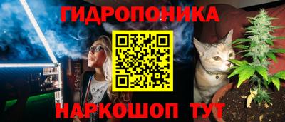 сатива Дубна
