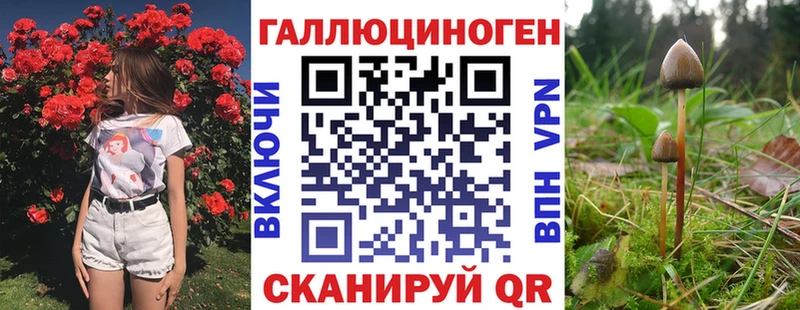 наркотики  Кувандык  Галлюциногенные грибы Cubensis 