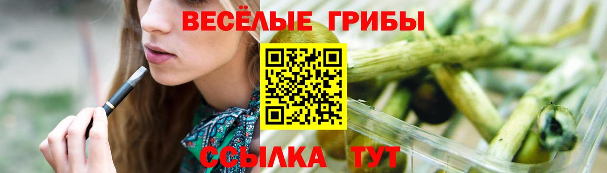 что такое наркотик  Вход с VPN  Кувандык  Галлюциногенные грибы Psilocybine cubensis  Галлюциногенные грибы ЛСД 