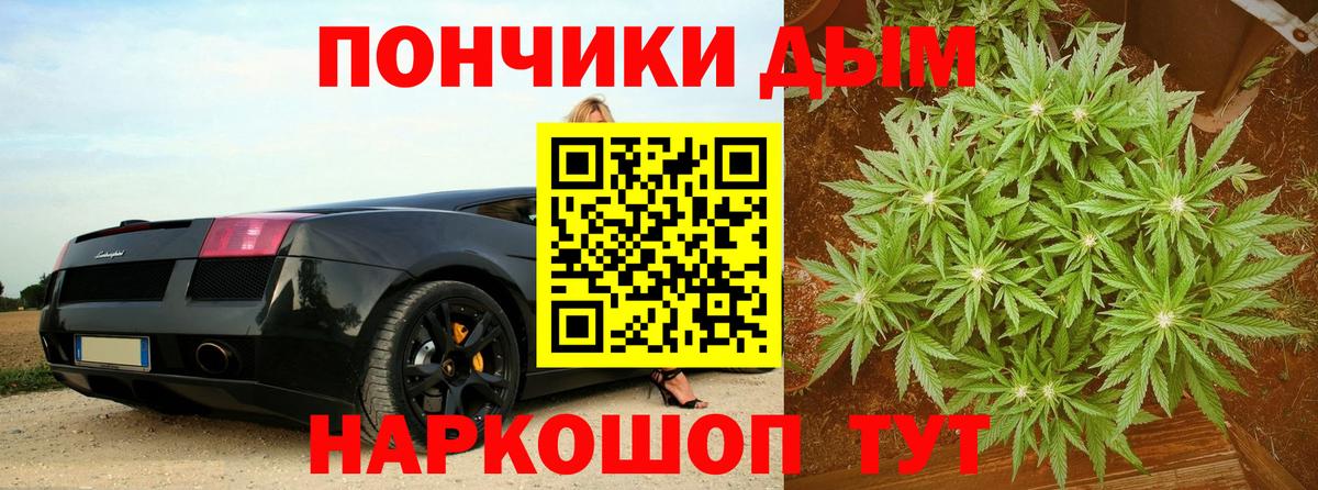 Каннабис индика Кувандык